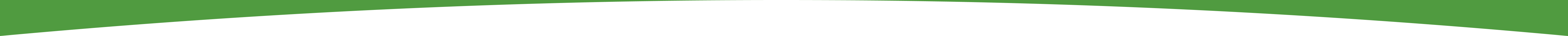 header bottom wave